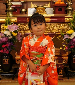 七五三詣大画像1